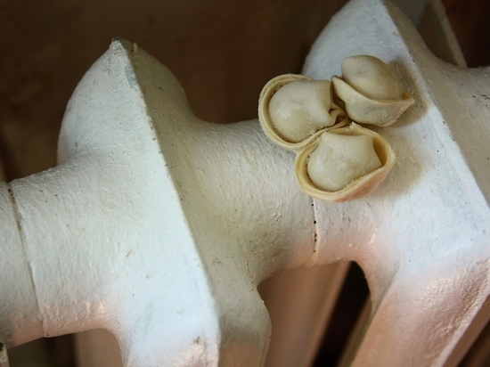 Прокуратура в Карелии помогла найти управляющую организацию для 76 домов