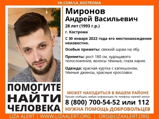 Отряд «ЛизаАлерт» просит о помощи в поисках 28-летнего костромича