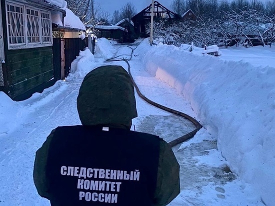 Назначена судмедэкспертиза обгоревших тел, обнаруженных на пепелище в Крестцах