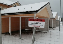 Владелец электросетевого хозяйства Карельской деревни пообещал подключить к сетям новых потребителей, но, не имея свободных мощностей, попытался "изъять" их у соседей