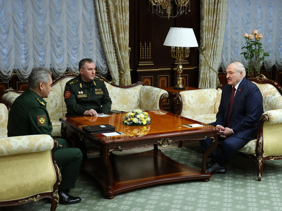 Лукашенко и Шойгу раскрыли нюансы учений «Союзную решимость»