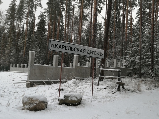 Жителям Карельской деревни вернули электричество, вопрос – надолго ли