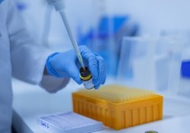 В Забайкалье за последние сутки выявлено 997 новых случаев заражения коронавирусом