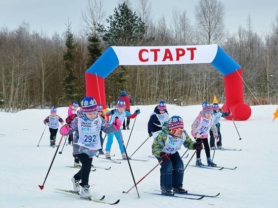 Окуловка примет всероссийскую массовую лыжную гонку 12 февраля