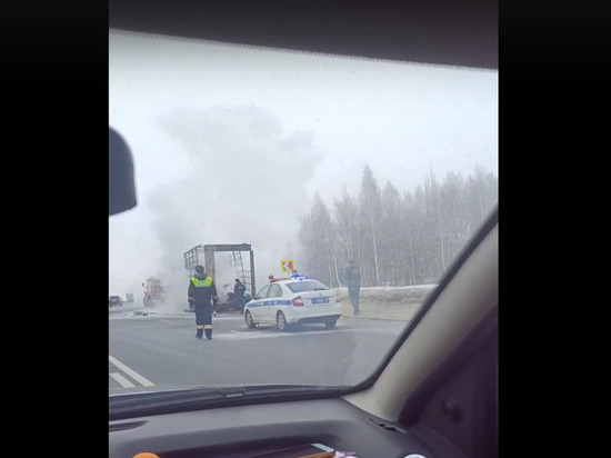 На трассе М-5 под Рязанью во время движения загорелась фура