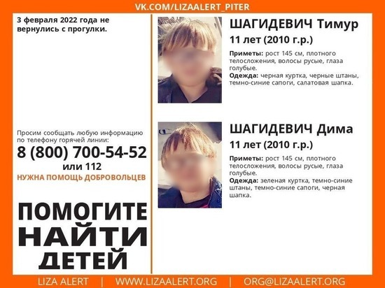 Братья-близнецы пропали во Всеволожском районе