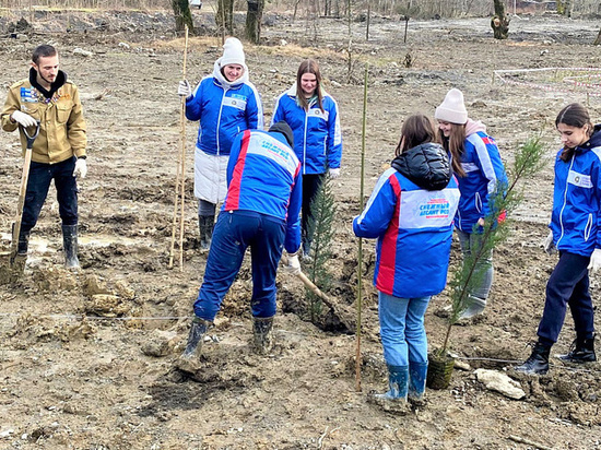 Аллею молодых деревьев высадили в Сочи в рамках экологической акции