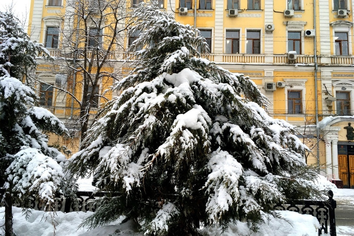 Саратовский синоптик