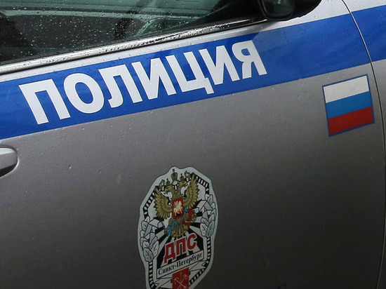В отношении водителя грузовика заведено уголовное дело из-за ДТП на Московском, в котором погибла калининградка