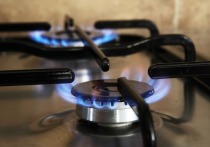 Находящаяся на грани энергетического кризиса Украина нашла поставщиков топлива, которые обладают сырьевыми ресурсами, позволяющими Киеву продержаться до начала весны, когда холода отступят