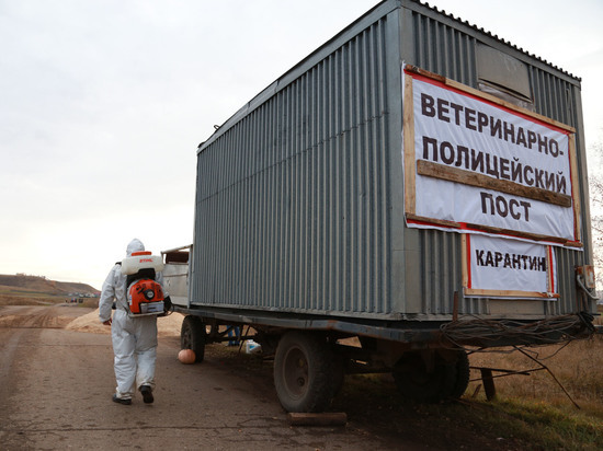 В мясном союзе считают, что частникам стоит перейти на альтернативные виды мяса