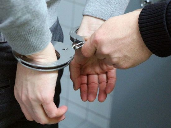 Подозреваемым в квартирных кражах и автоугонах жителям Выборга изберут меру пресечения