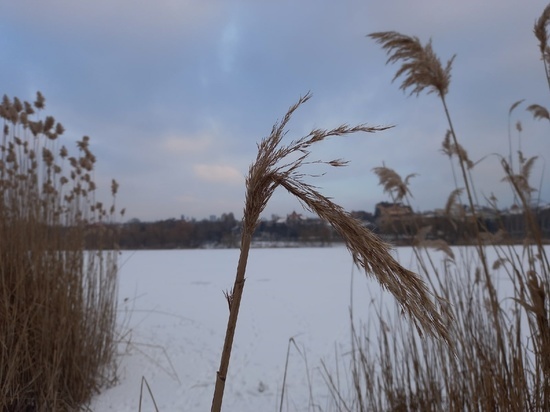 Под Ясиноватой вытащили из воды двоих мужчин: один скончался