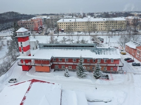 Реконструкция уничтожит деревья у Морского центра капитана Варухина
