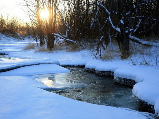 В Воронежской области планируют расчистить 27 км русла реки Осередь в рамках нацпроекта «Экология»