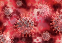 За прошлые сутки количество заражений коронавирусом в Забайкалье превысило предыдущие показатели и достигло 1 203 случаев