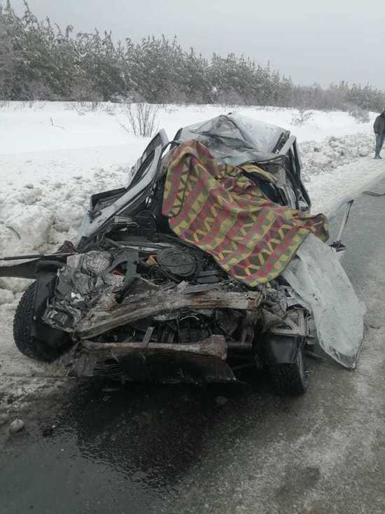 Под Саратовом в аварии с грузовиком погиб мужчина
