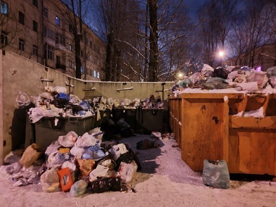 Почти к 30 площадкам мусоровозы не смогли подъехать из-за неубранного снега в Новгороде