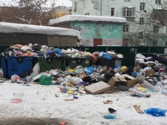 Рязанец заснял переполненные мусорные баки во дворе на площади Театральной