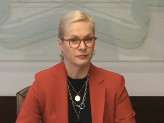 Белочка, ручная лиса и снегирь могут стать талисманами новогодней столицы в Новосибирске