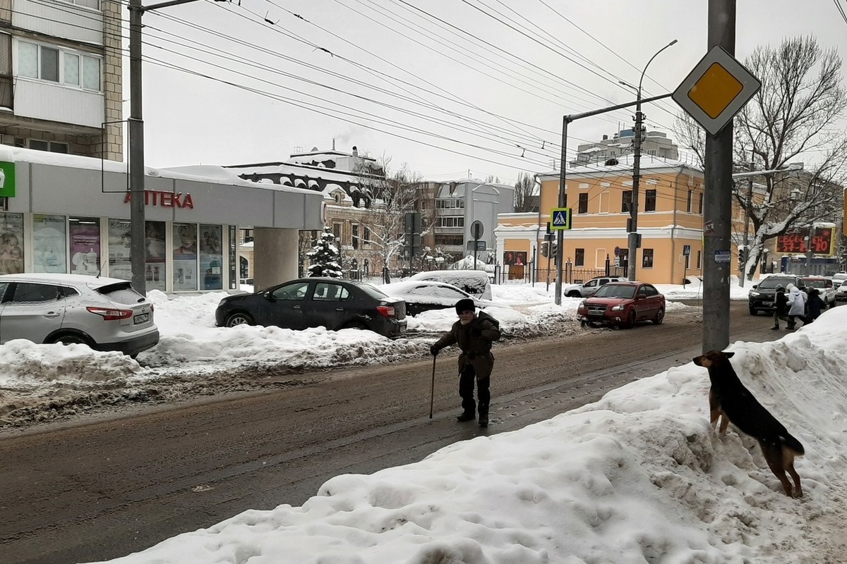 Из саратовских аптек исчезают экспресс-тесты на коронавирус - МК Саратов