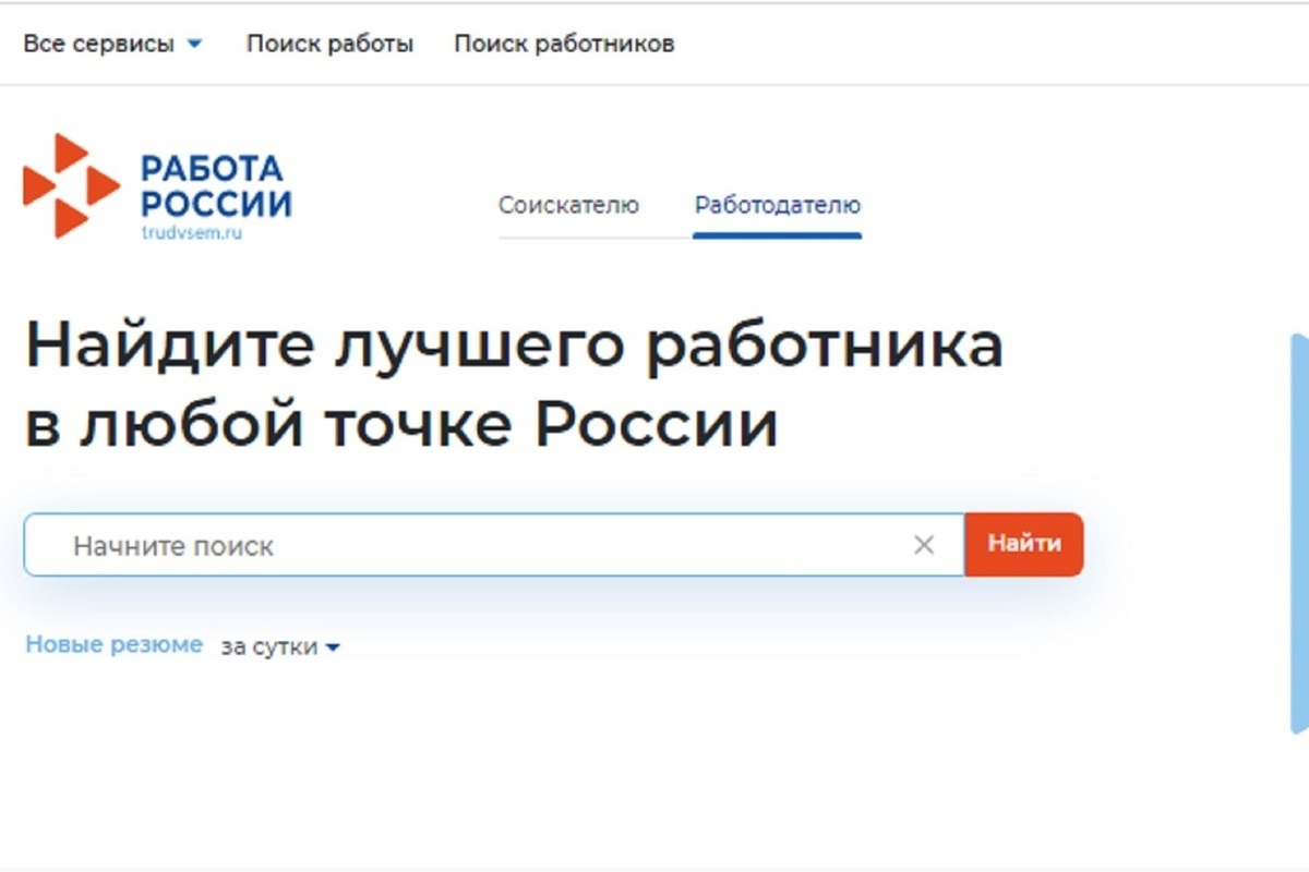 Костромская отчетность: предпринимателям пора заполнять формуляры об удаленке