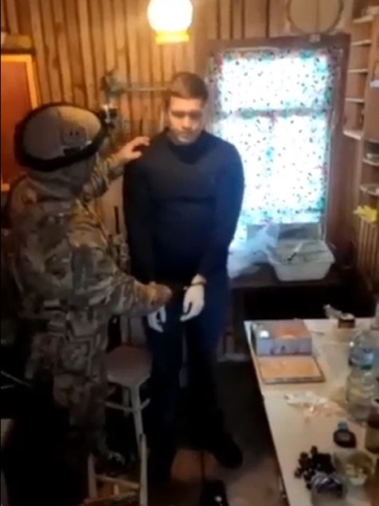 Опубликовано видео задержания депутата Бортникова
