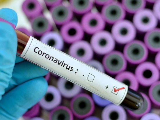 Число заразившихся COVID-19 в Ленобласти составило 2214 за сутки