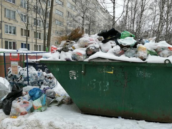 Авгиевы конюшни Петербурга: следом за мусорным коллапсом в Петербурге может случиться платежный