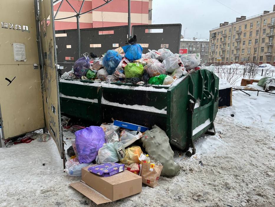 Петербургские помойки: как выглядят мусорные площадки через месяц с начала коллапса