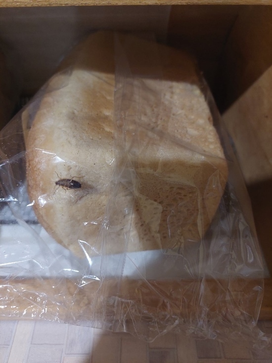 Южноуралец купил хлеб с тараканом