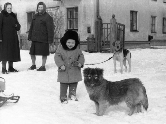 В Брянске стартовал зимний фотоконкурс
