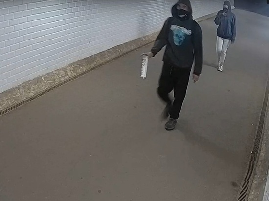 Граффитчика, разрисовавшего стены тоннеля в Петрозаводске, оштрафовали на 20 тысяч