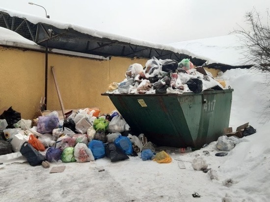 Грязные горы: мусор из Петербурга проявился в Ленобласти