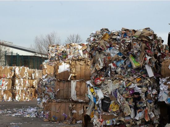 Экологическая экспертиза одобрила проект по строительству мусороперерабатывающего завода в Ленобласти