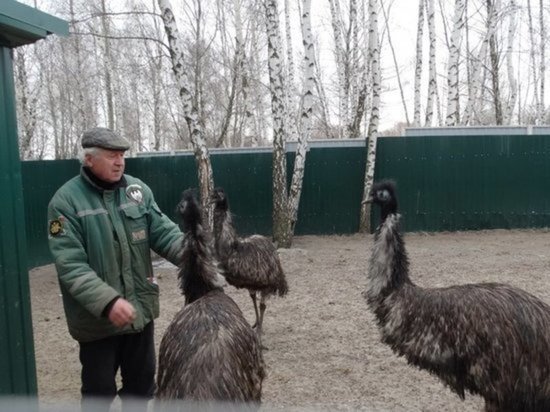 В Курчатове сохранят парк птиц