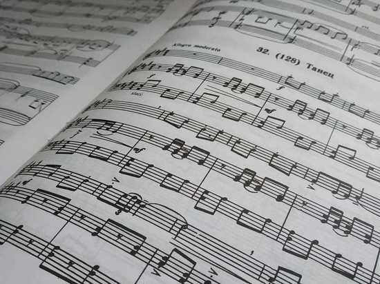 Дети из районов Хабаровского края смогут получить профессию музыканта