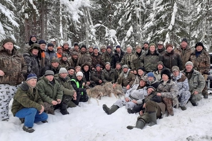 Костромские охотники ликвидировали волчью стаю в Шарьинском районе