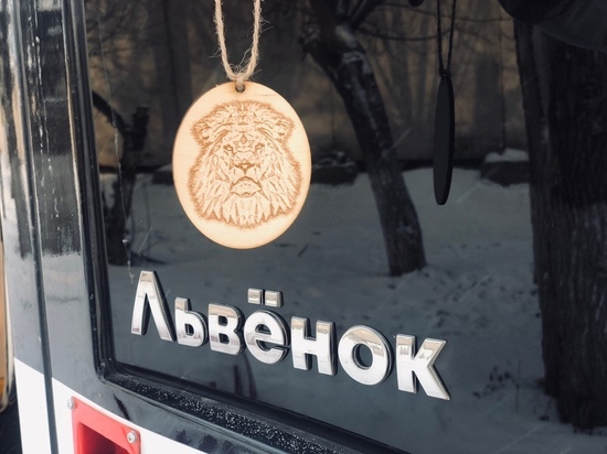 В трамваях «Львенок» в Красноярске появились «львиные» сувениры для пассажиров