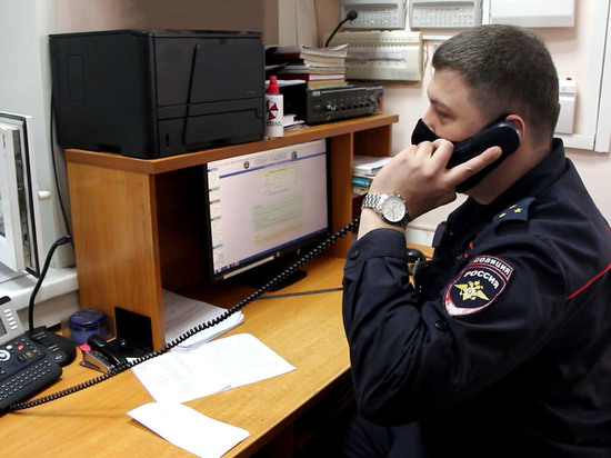 В Тамбове полицейские поймали «карманника», укравшего кошелёк у женщины