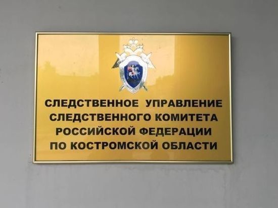 Костромской прецедент: житель города получил судимость за хакерскую деятельность