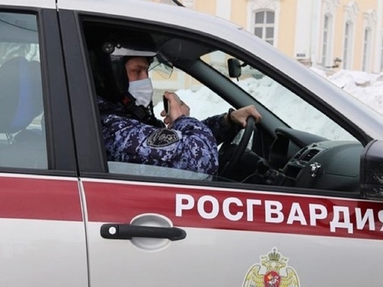 Сотрудники Росгвардии задержали на Сульфате ограбившего магазин архангелогородца