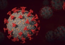 Пятая волна коронавирусной инфекций, вызванная «Омикроном», стала самой высокой для всех стран мира, в том числе России