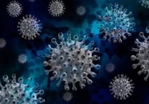Новый рекорд по заболеваемости коронавирусом в Забайкальском крае – COVID-19 выявлен у 1645 жителей региона