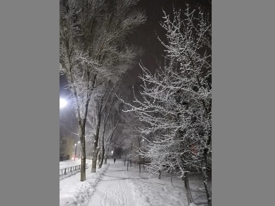 Брянск за ночь завалило снегом