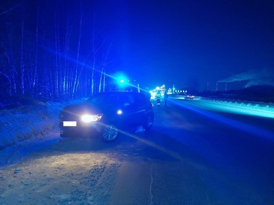 Водитель «Mitsubishi» насмерть сбил пешехода возле Екатеринбурга