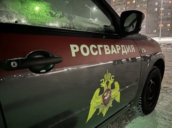 Росгвардейцы  за ночь задержали двоих подозреваемых в поножовщине