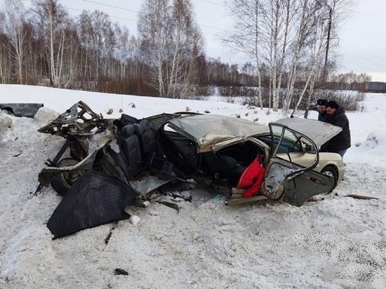 «Хендай» влетел под грузовик в Курганской области, водитель погиб