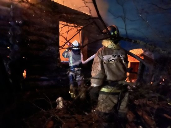 В Меленковском и Гусь-Хрустальном районах в огне погибли два человека