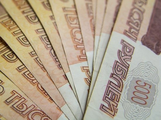 В рязанском селе 20-летняя девушка украла у пенсионерки 110 тысяч рублей